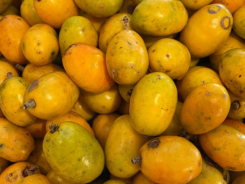 Seriguela fruit typical of Brazil