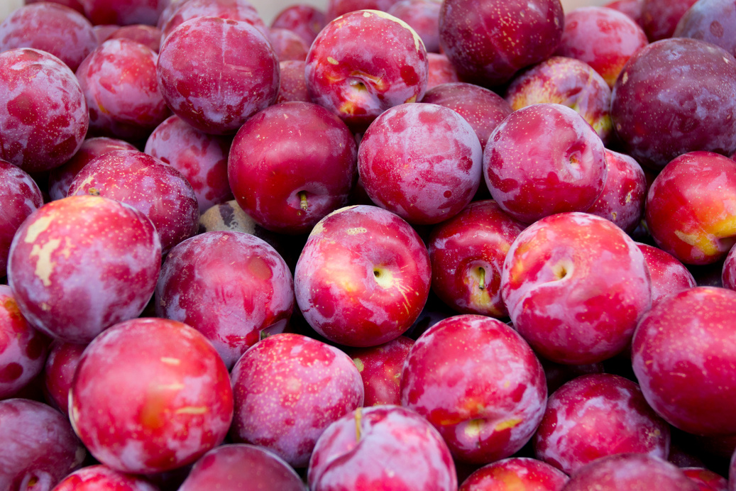 Red plums