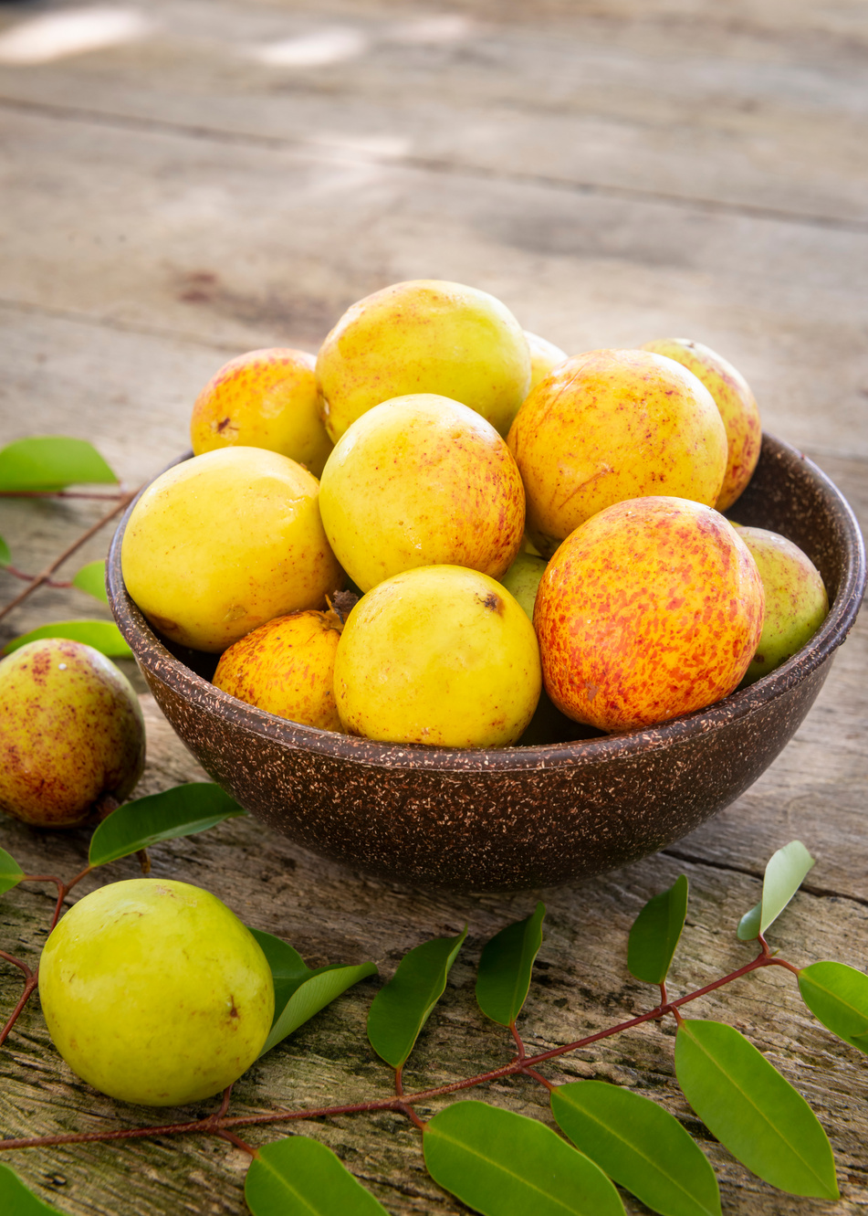 Mangaba fruit from the northeast of Brazil on an aged wooden table.