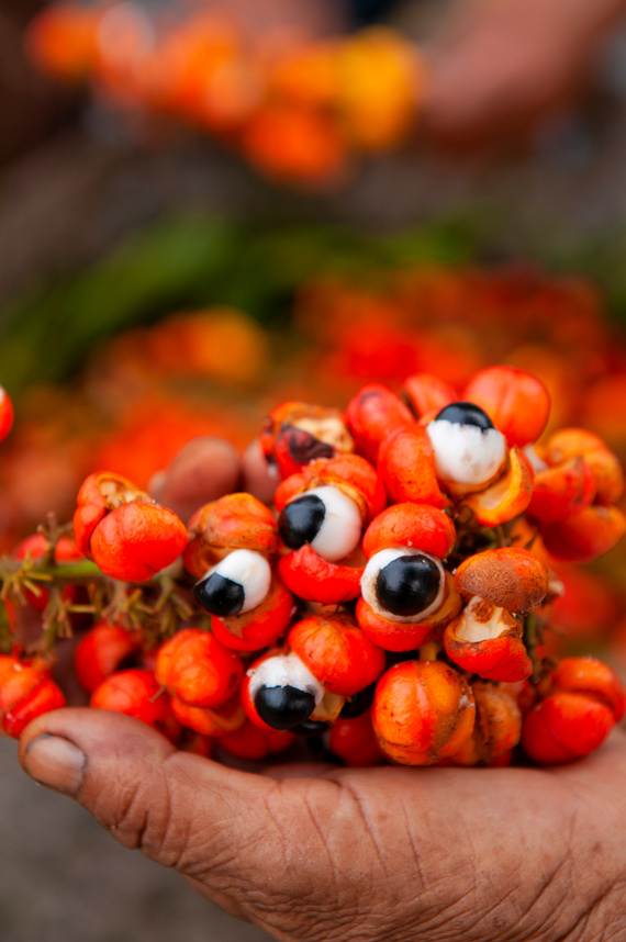 Guarana bunch